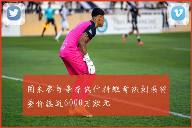 国米参与争夺武什科维奇热刺或将要价接近6000万欧元