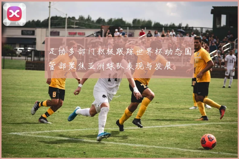 足协多部门积极跟踪世界杯动态国管部聚焦亚洲球队表现与发展