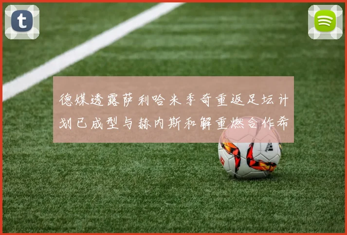 德媒透露萨利哈米季奇重返足坛计划已成型与赫内斯和解重燃合作希望